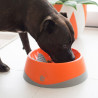 Futternapf für Hunde Lickimat Oh Bowl Orange