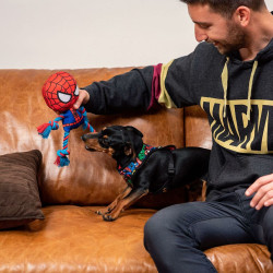 Jouet pour chien Spider-Man Rouge