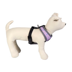 Dog Harness Disney XXS/XS Grey