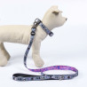 Dog collar Disney Grey