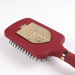 Brosse Démêlante Harry Potter Rouge ABS