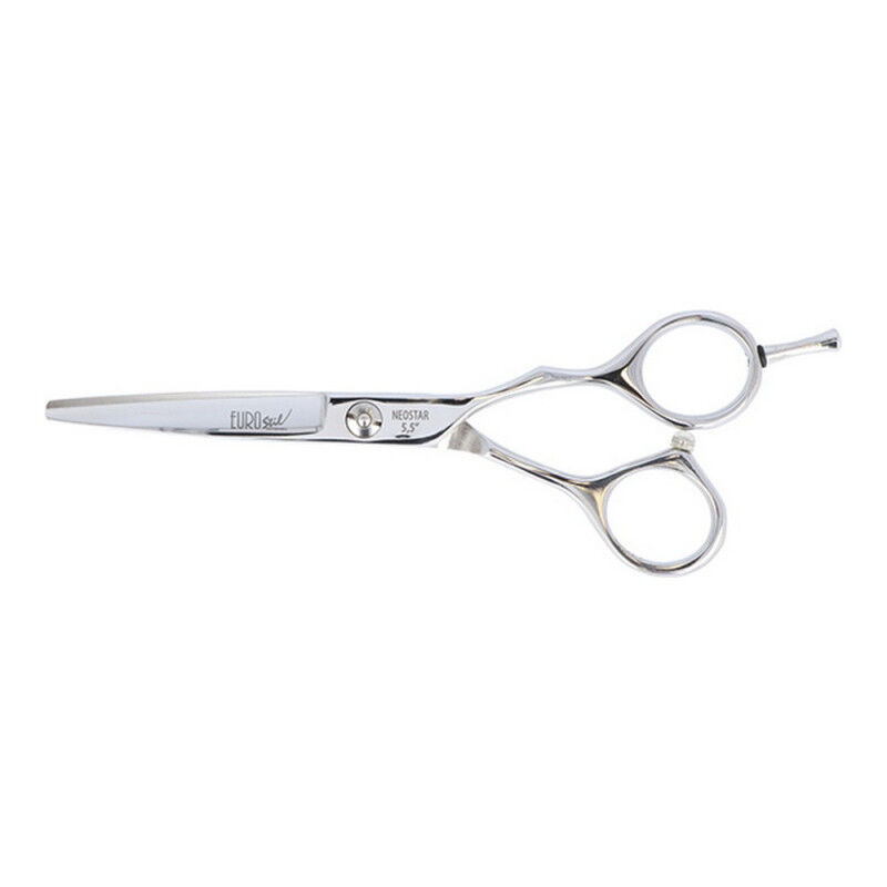 Ciseaux pour cheveux Neostar Eurostil CORTE MICRODENTADA 5,5"