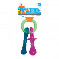 Dog chewing toy Nylabone...