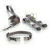 Dog Lead Hunter Grey (100 cm)