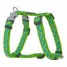 Harnais pour Chien Red Dingo Style Étoile Vert 25-39 cm