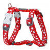 Hundegeschirr Red Dingo Style Rojo/Blanco Punkte 25-39 cm