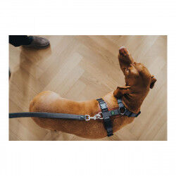 Dog Lead Hunter DIVO & MALDON 2 x 100 cm Grey