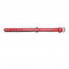 Hundehalsband Gloria Polsterung Rot 40 cm (40 x 2 cm)