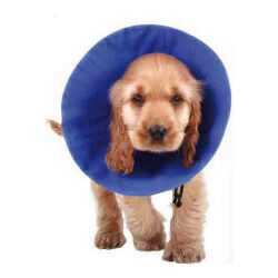 Elizabethan Dog Collar KVP...