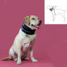 Cervical Collar for Dogs KVP Black