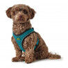 Harnais pour Chien Hunter Hilo Comfort 55-60 cm Taille M Turquoise