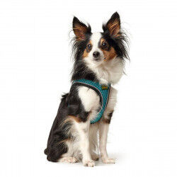 Harnais pour Chien Hunter Hilo Comfort 55-60 cm Taille M Turquoise