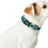 Dog collar Hunter Basic Thread Lime 20