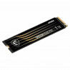 Festplatte MSI SPATIUM M480 PRO PCIE 4.0 NVME M.2 1TB 1 TB SSD