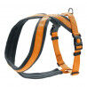 Harnais pour Chien Hunter London Comfort Orange S/M 52-62 cm