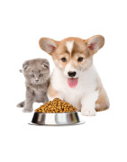 Pet food